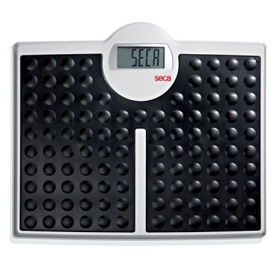 SCALE ELECTRONIC SECA 813 200KG